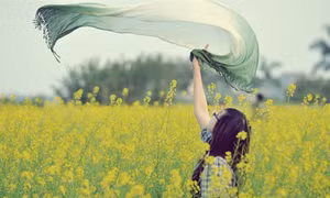 Nắng giữa mùa đông