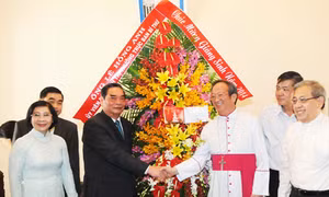 TP. HCM