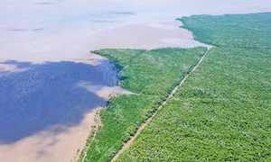Xây dựng thương hiệu sinh học biển 