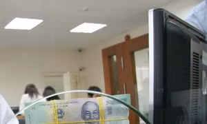 Lãi suất hạ, tiền vẫn chảy vào ngân hàng