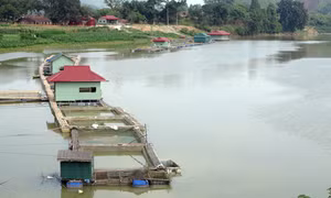 Phú Thọ