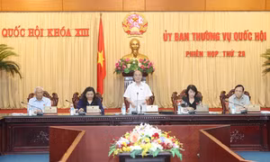 Người sử dụng thẻ căn cước phải được giảm giấy tờ hành chính khác 