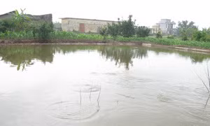 Bến Tre