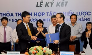 TP.HCM