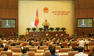 Thận trọng, kiểm chứng thông tin để lấy phiếu tín nhiệm khách quan