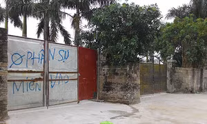 Quảng Ninh