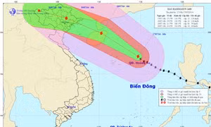 Tin bão gần bờ 