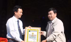 Đồng Tháp
