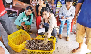 Liên kết vùng Đồng bằng sông Cửu Long: Khai phóng tiềm năng của vùng 