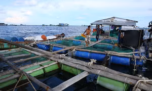 Bà Rịa-Vũng Tàu