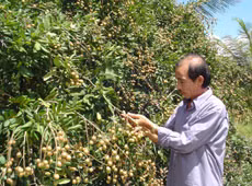 Bến Tre