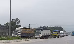 Gia Lai