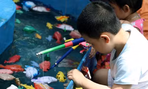 Con cá mất