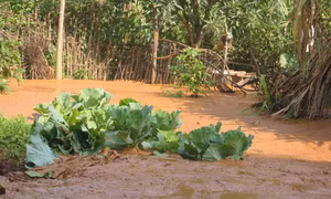 Cao Bằng