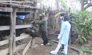 Lạng Sơn