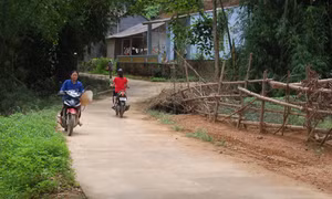 ​Trên 209.000 lượt hộ dân Lào Cai được hưởng lợi từ Chương trình 135