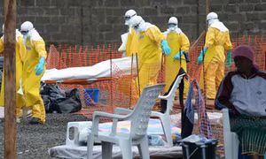 Mỹ, Bỉ bổ nhiệm điều phối viên về dịch Ebola 