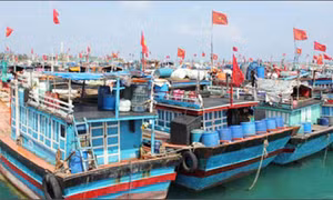 Khẩn trương kêu gọi tàu, thuyền tìm nơi trú bão