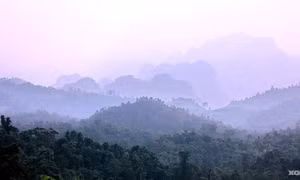 Nhận diện sinh vật ngoại lai ở dãy Trường Sơn