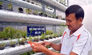 Đà nẵng