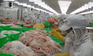 Đồng bằng sông Cửu Long với khát vọng cất cánh