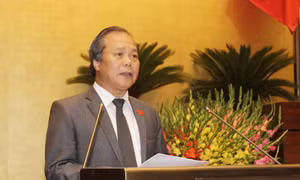 Hướng đến thống nhất trong giáo dục nghề nghiệp 