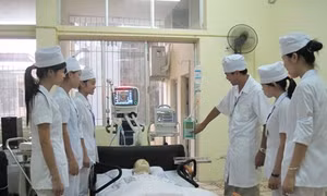 Cảnh báo tình trạng lừa xuất khẩu lao động sang Nhật Bản làm hộ lý, điều dưỡng