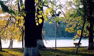 Miền Bắc giảm mưa, nhiệt độ tăng nhẹ