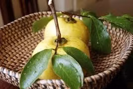 Nhớ trái thị tuổi thơ