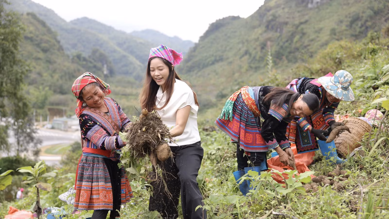 Thương mại điện tử mở rộng thị trường cho sản vật vùng cao