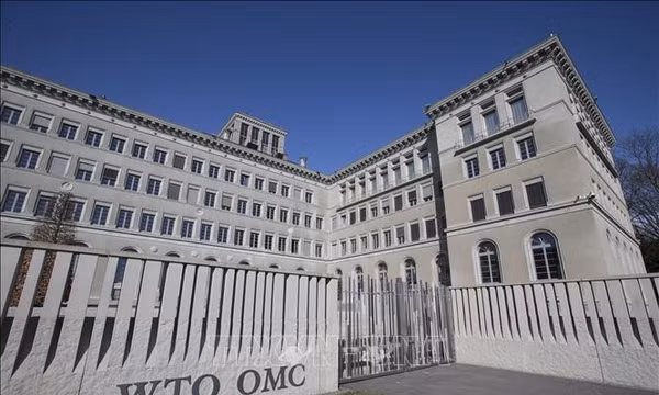 WTO thành lập nhóm định giá carbon toàn cầu