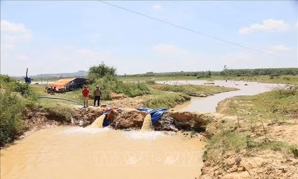 Tây Nguyên trước sức ép khô hạn kéo dài