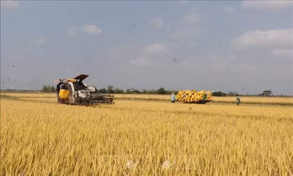 Tiêu điểm trong ngày: Nuôi dưỡng tương lai