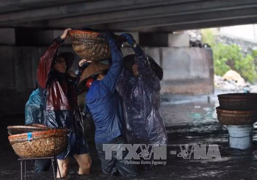 Người dân Quảng Ninh đổ ra suối mò than ảnh 6