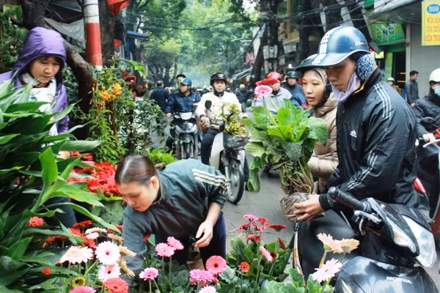 Đi chợ Bưởi xem hoa Xuân ảnh 2
