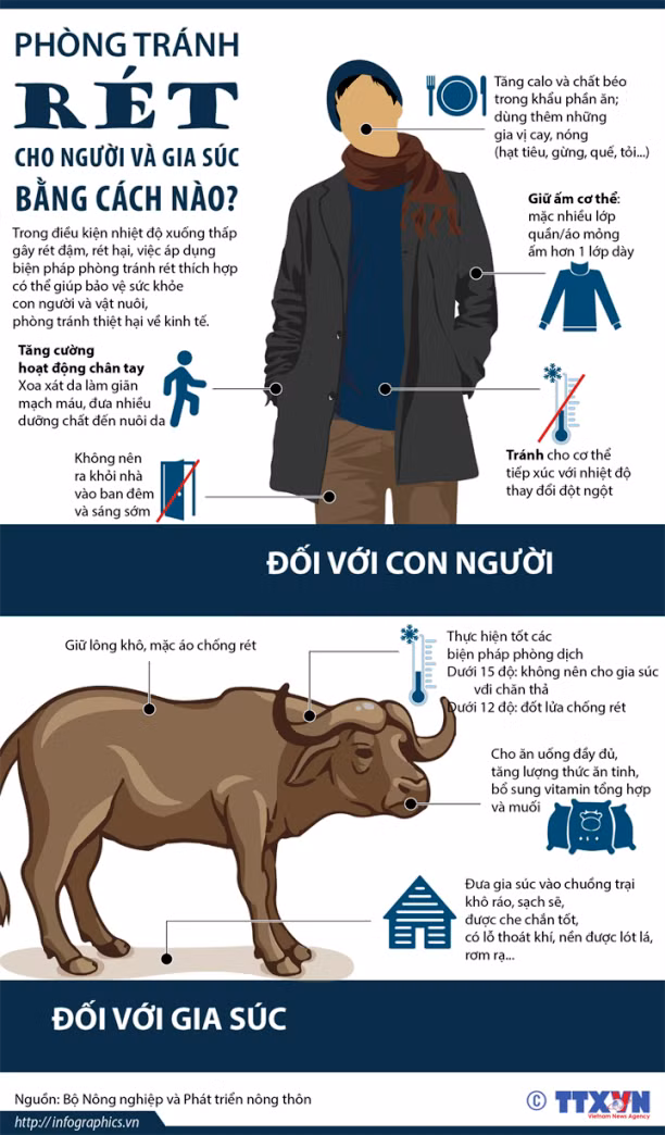 Phòng tránh rét cho người và gia súc bằng cách nào? ảnh 1
