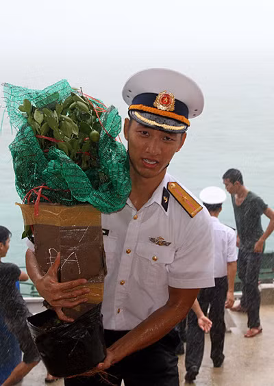 Sắc xuân ở Trường Sa ảnh 4