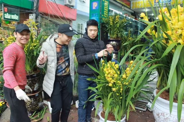 Đi chợ Bưởi xem hoa Xuân ảnh 9