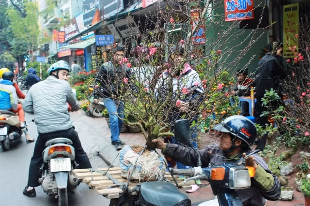 Đi chợ Bưởi xem hoa Xuân ảnh 7