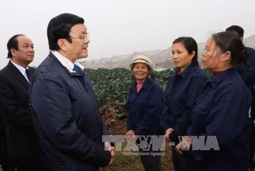 Chủ tịch nước thăm và chúc Tết tại Hưng Yên, Hà Nam ảnh 1