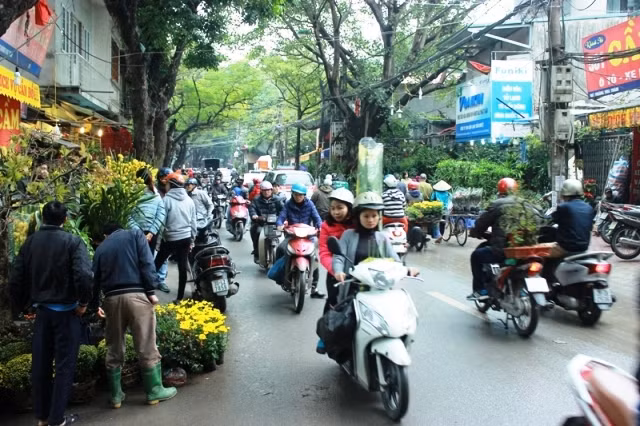 Đi chợ Bưởi xem hoa Xuân ảnh 1