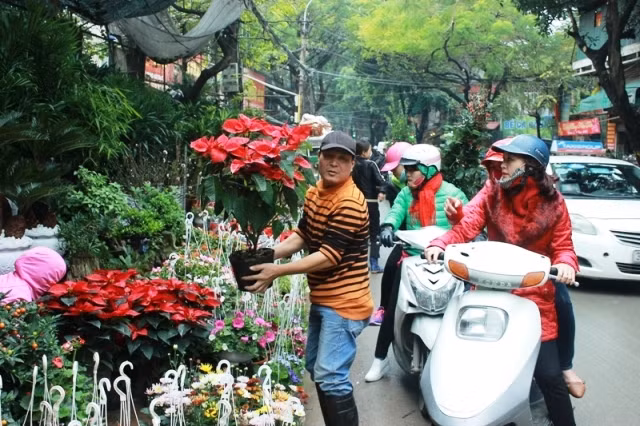 Đi chợ Bưởi xem hoa Xuân ảnh 6