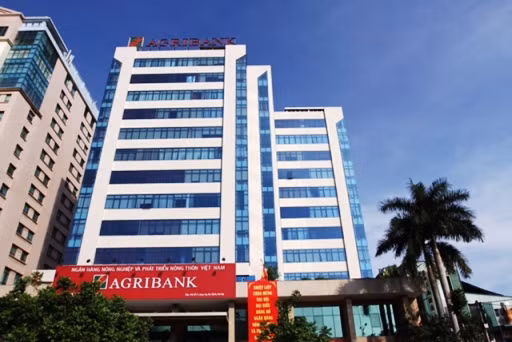 Nhìn từ thành công của Đề án tái cơ cấu Agribank ảnh 1