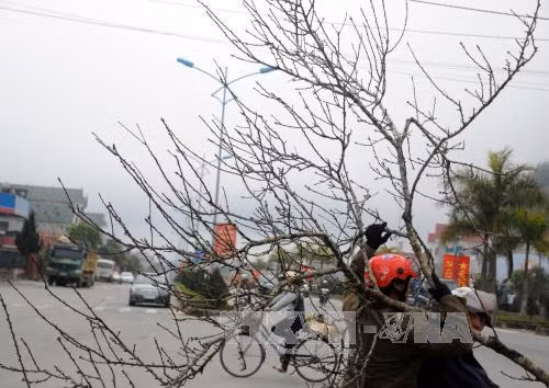 Dự báo thời tiết dịp Tết Nguyên đán ảnh 1