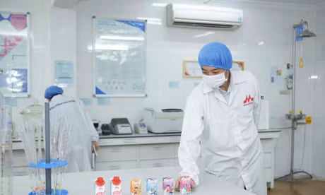 ZinZin đánh dấu 20 năm đồng hành cùng nhiều thế hệ gia đình Việt Nam