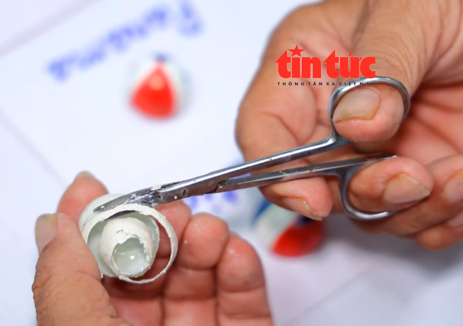 Chú thích ảnh
