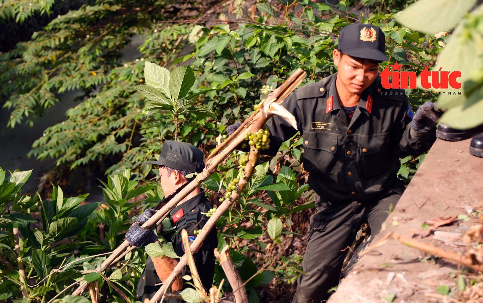 Chú thích ảnh