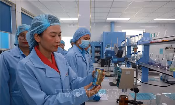 Nữ doanh nhân đưa khoa học công nghệ ứng dụng vào phát triển bền vững ngành yến sào