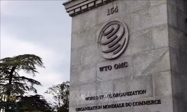 Thế giới thiệt hại 10% GDP nếu các quy tắc thương mại bị suy yếu