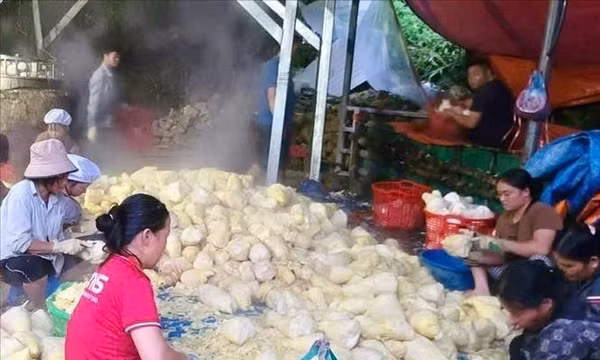 Liên kết hợp tác xã với người dân, nâng cao giá trị nông sản